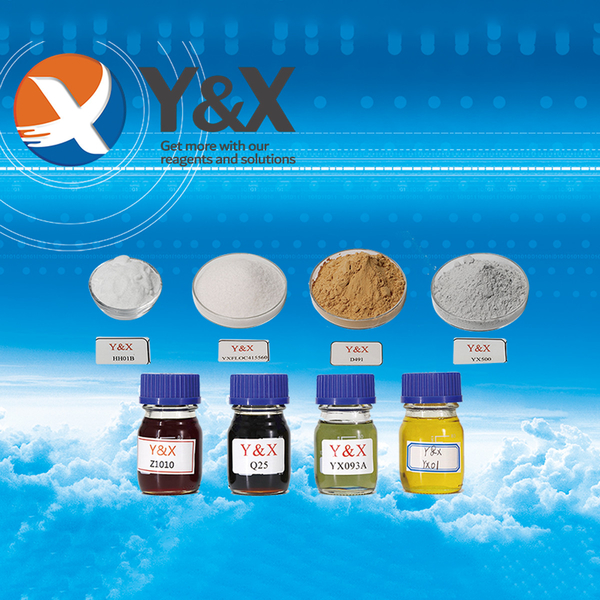 China Y&X Beijing Technology Co., Ltd. Company Profile 
