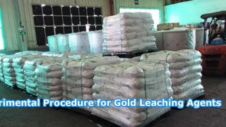 Experimental Procedure for Gold Leaching Agents